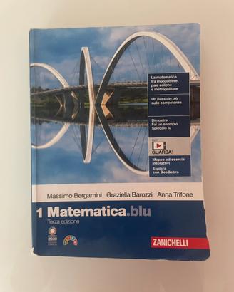 Libro matematica. blu 1