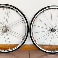 Coppia ruote Campagnolo Shamal Ultra