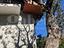 Immagine 13