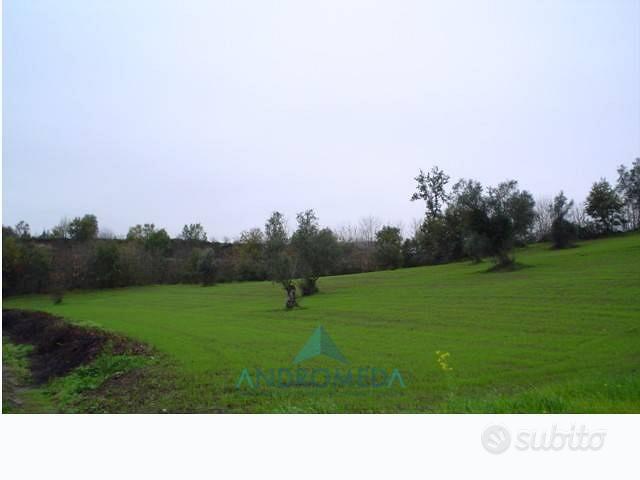Terreno di 600 m² a Teano - Vista 2