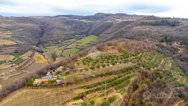 TER. AGRICOLO A CAZZANO DI TRAMIGNA