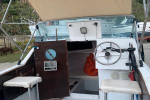 Barca 5.50 autosvuotante con fuoribordo