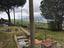 Immagine 21