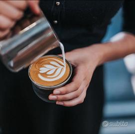 Barista