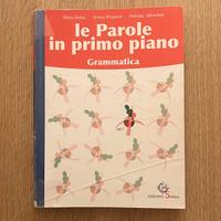 Le parole in primo piano Grammatica 9788869641930