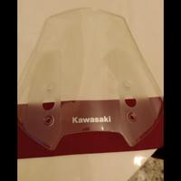 cupolino x Kawasaki Versys 