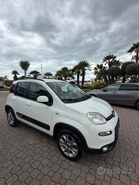 Fiat Panda 1.3 MJT S&S 4x4 Antartica