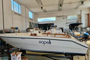 capelli 17 pulsar