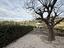 Immagine 24