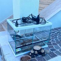 Teca in vetro per rettili