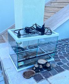 Teca in vetro per rettili