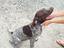 Immagine 1