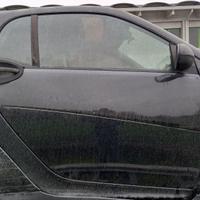 Porta laterale smart fortwo DX colore nero 2010