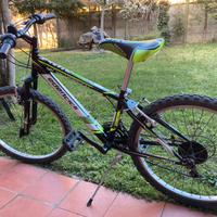 Bici MTB bambino 9 - 12 anni