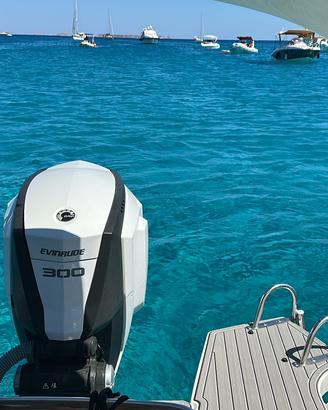 Evinrude E-TEC G2 300 V6 White  2019