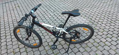 MTB Garry Fisher da 24 pollici