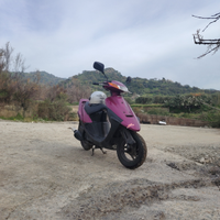 Suzuki zz sepia