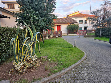 Due box garage con luce a Montecatini