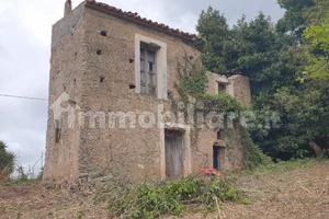 Rustico contrada Mandraglie (Diamante, CS)