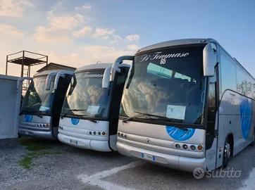 Iveco domino - euroclass (bus turistici)