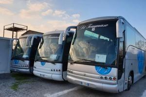 Iveco domino - euroclass (bus turistici)