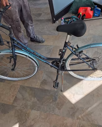 Bici Bottecchia Verde Natura 26"