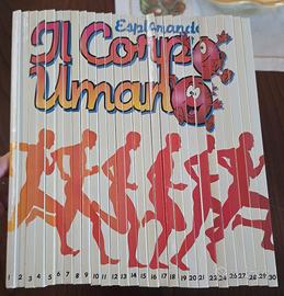 Esplorando il Corpo Umano - Lotto 28 Libri (quasi 