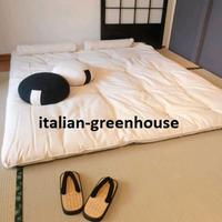 Futon Shiatsu L120xH200