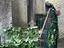 Immagine 25