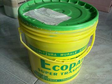 Vernice traspirante interni colore Verde betulla