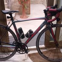 bici da strada olmo link pro