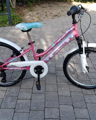 Bici Carratt Ladybug MTB Ruote da 20 - 6 velocità 