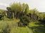 Immagine 7