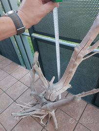 tronco per acquario / tillandsie/ ornamentale