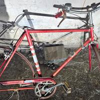 Bici Romeo uomo