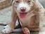 Immagine 6