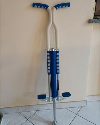Pogo Stick