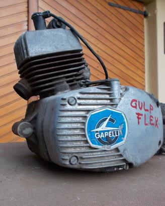 Motore Garelli Gulp