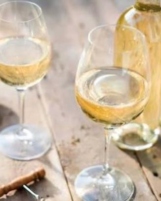 vino greco di Tufo