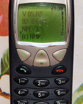 Nokia 6210 senza caricabatterie 