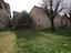 Immagine 9