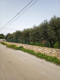 Terreno Edificabile - Siracusa