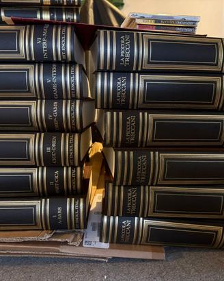 Enciclopedia Treccani