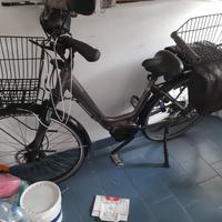 E-bike Olympia Energy Max Comfort  28"