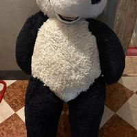 panda gigante