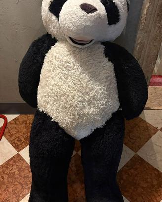 panda gigante
