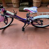 Bicicletta bambina 20