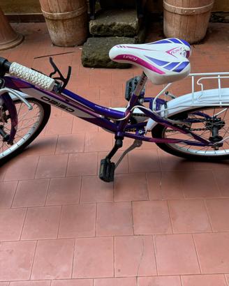 Bicicletta bambina 20