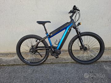 Riese & Müller anno 2018, 