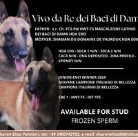 Disponibile per monte